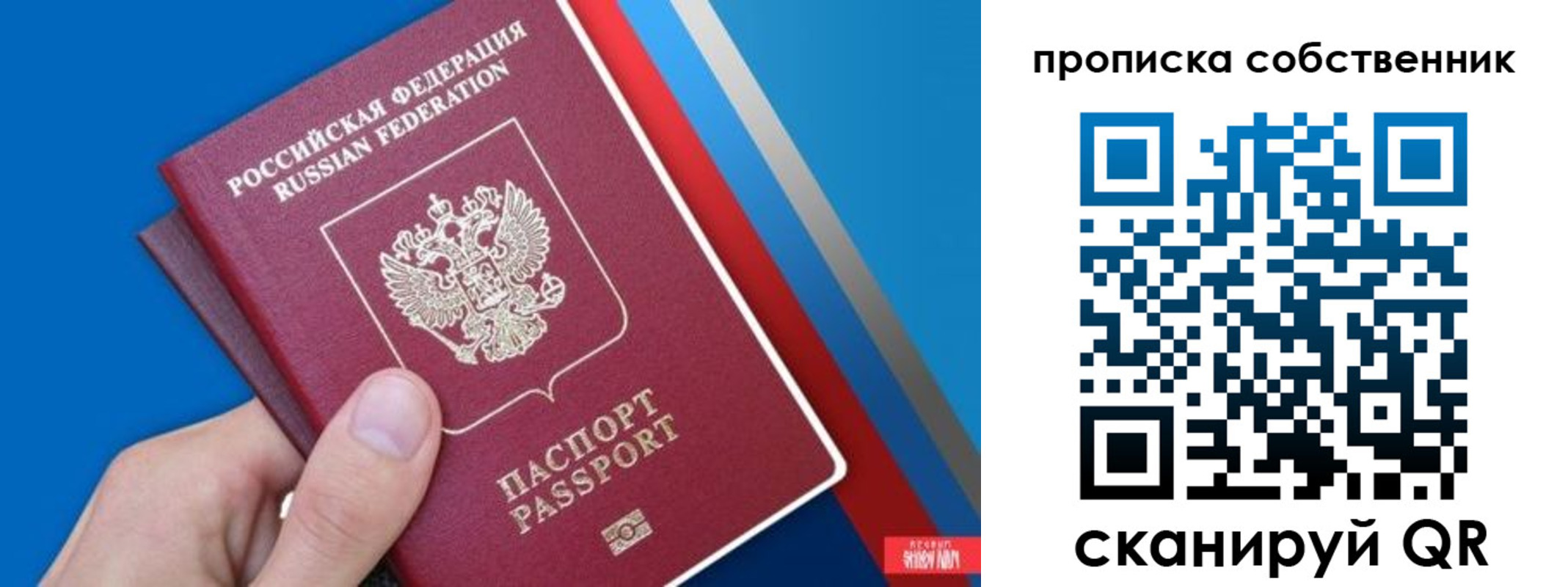 регистрация для школы в Мончегорске
